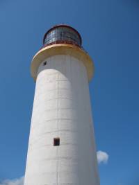 cape race